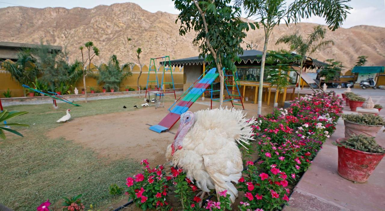 Serene Aravali Resort, Pushkar Esterno foto